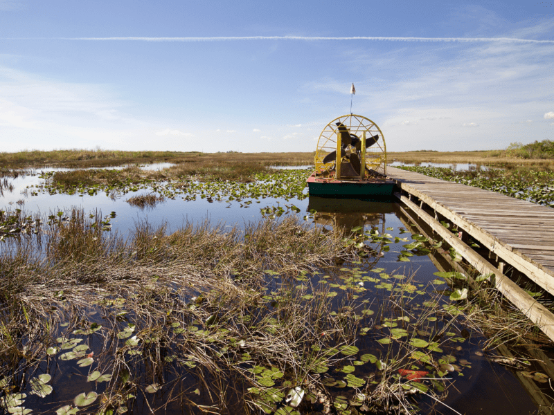 best places to see alligators in louisiana