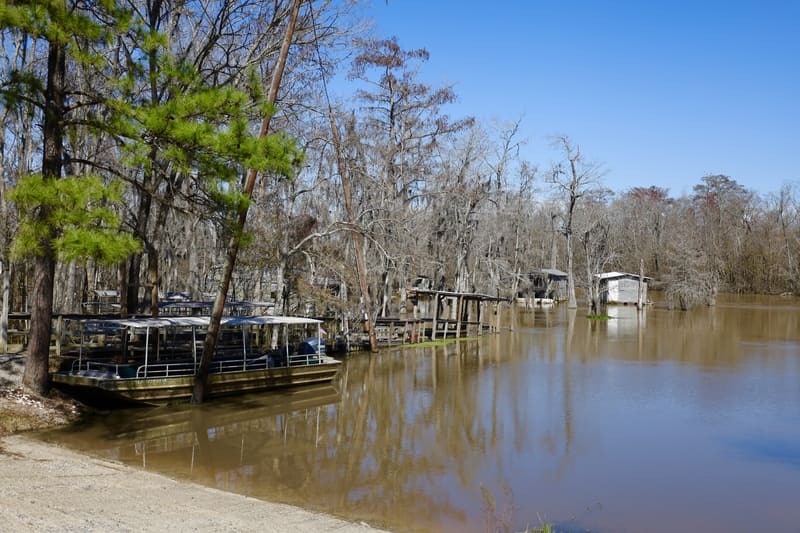 best places to see alligators in louisiana