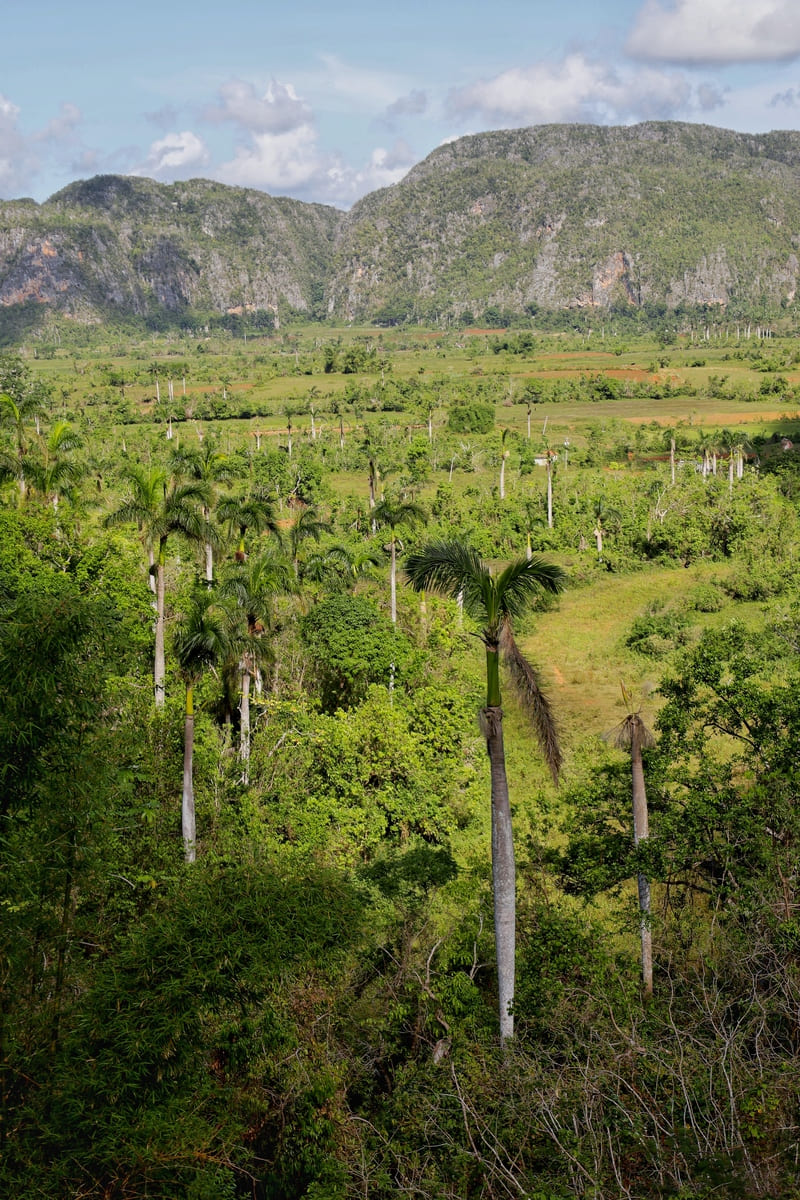 can americans travel to cuba 4