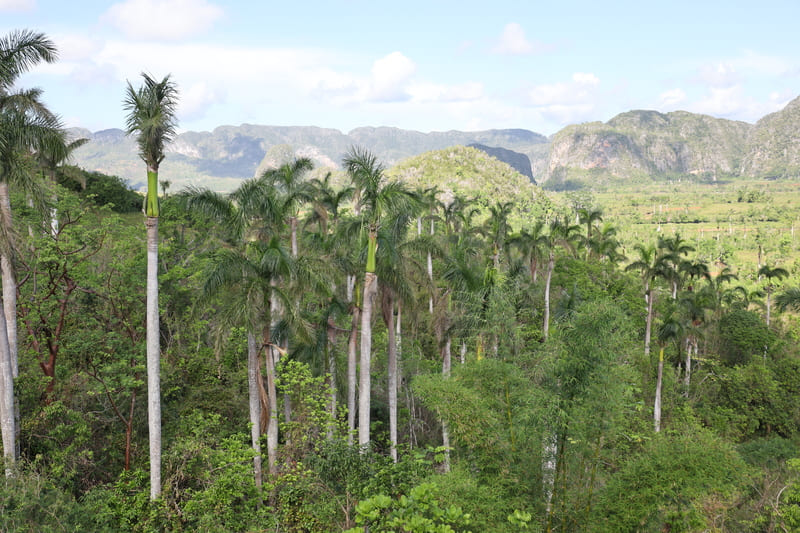 things to do in vinales cuba