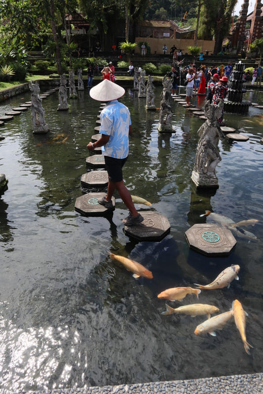 black male in blue and white shirt, black shorts, sneakers, and traditional hat walking on the path of water pillars at tirta gangga in bali with large coi fish swimming beneath him