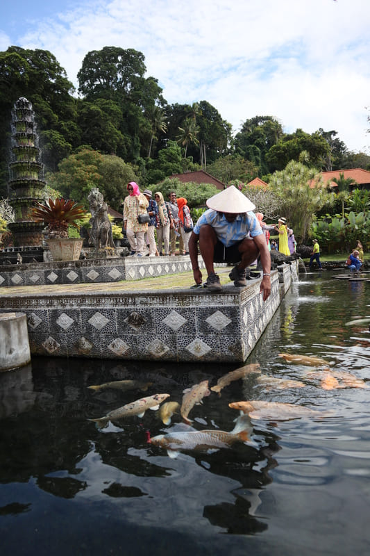 black man squatting down feeding the fish in the water at tirta gangga in bali