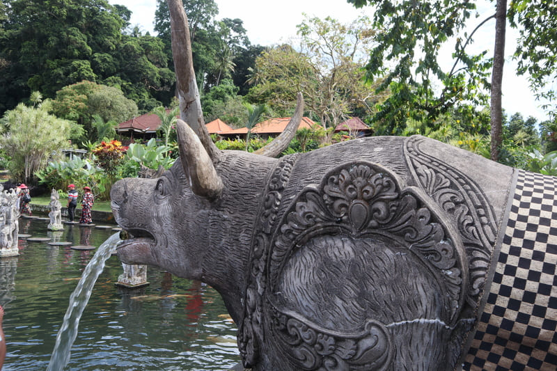 water pouring out of an animal-shaped fountain at tirta gangga water palace