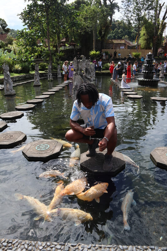 black male budget traveler squatting down feeding the large orange and silver fish in the water at tirta gangga water palace