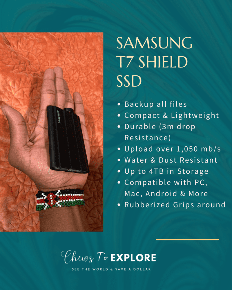 Samsung 17 Shield SSD