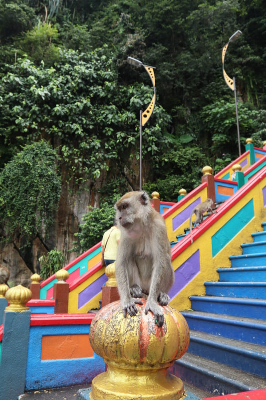 batu caves steps