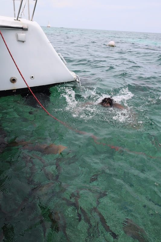 caye caulker belize snorkeling 1