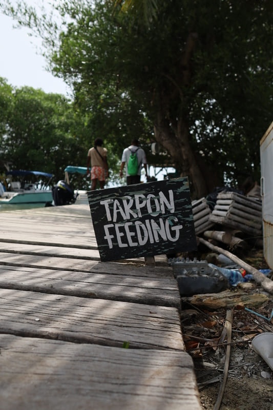 caye caulker travel guide