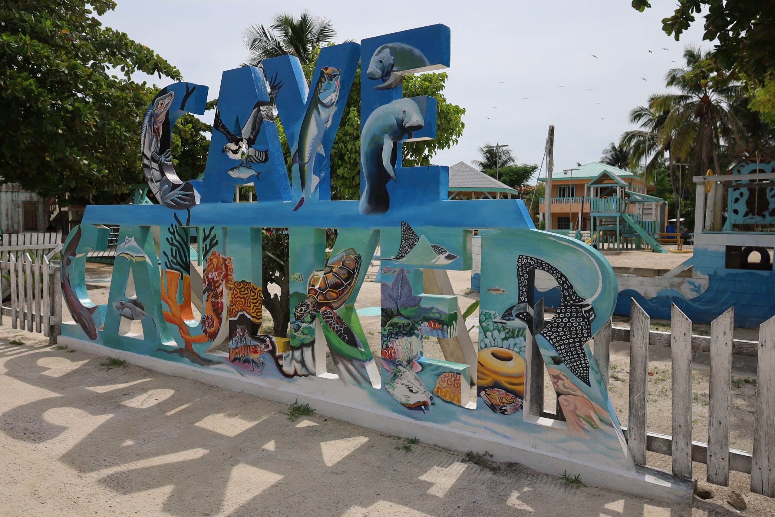 caye caulker snorkel scaled